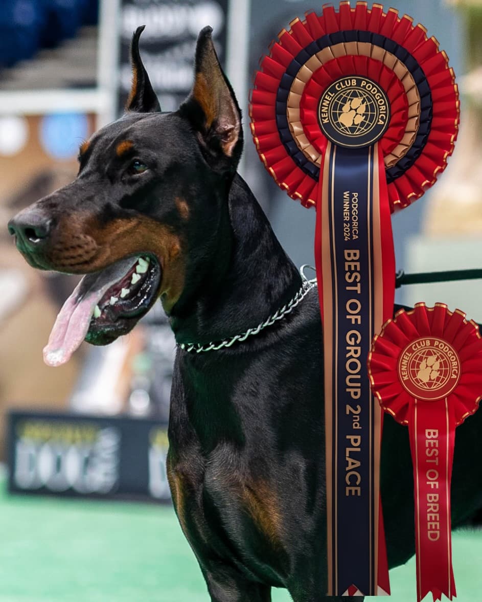 AGRON from MAGNA ILLYRIA